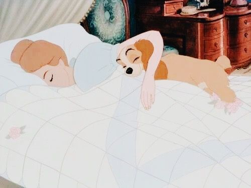 The Princess Diaries 